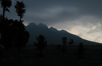 Parc des Volcans, Rwanda Parc des Volcans, Rwanda