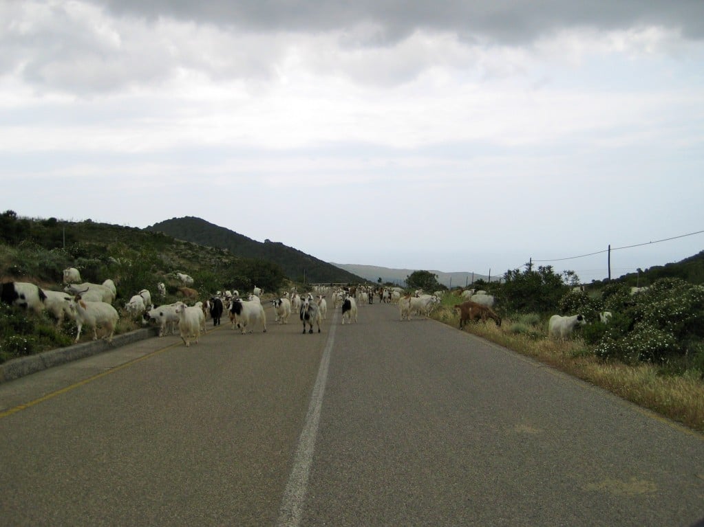 Traffic Jam along the road hugging Costa Verde Traffic Jam along the road hugging Costa Verde
