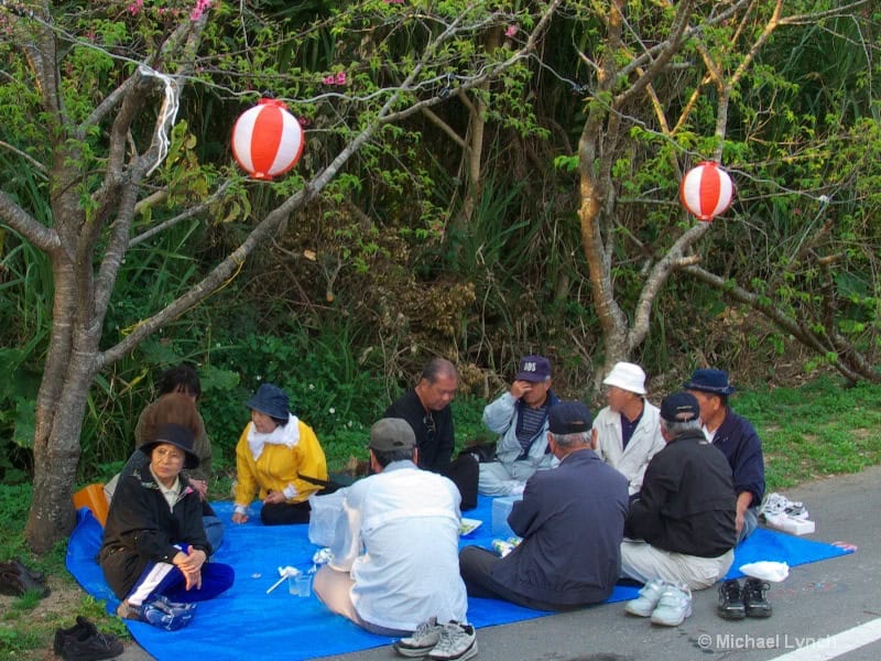 Enjoying the Hanami, or flower viewing party