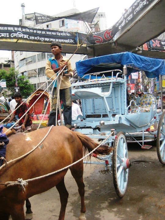 Horse and buggies still exist in Dhaka traffic.