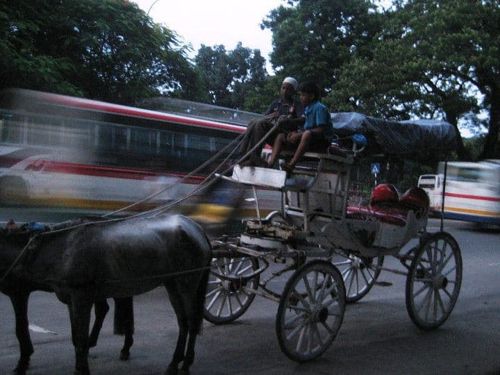 Buses speeding past a lone horse and buggy.