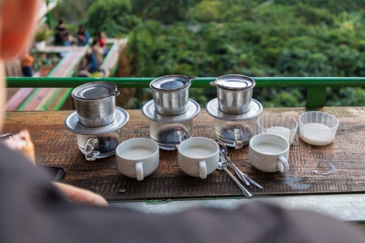 Coffee plantation in Vietnam (photo: fxxu, Pixabay).