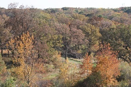 Fall in the USA