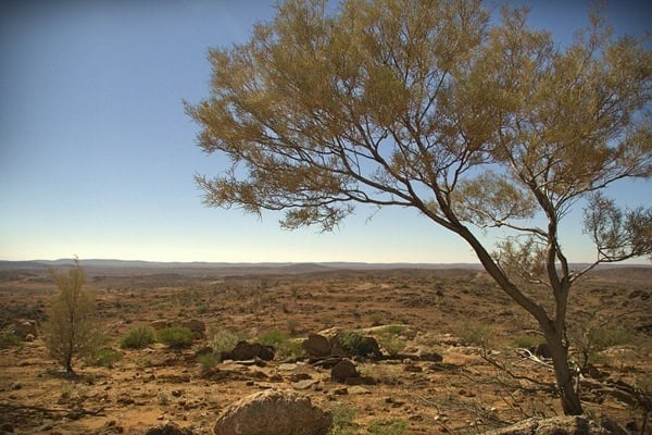 The Outback of NSW near Broken Hill outback new south wales near Broken Hill