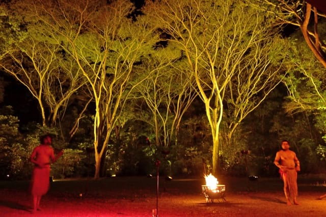Storytelling flames of forest story telling