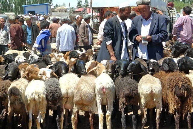 animal market bartering animal market bartering