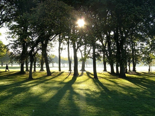 The Meadows in Edinburgh