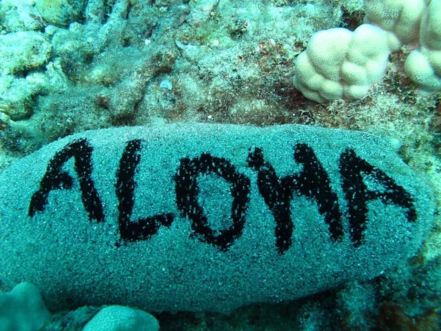 "Aloha" rock "Aloha" rock