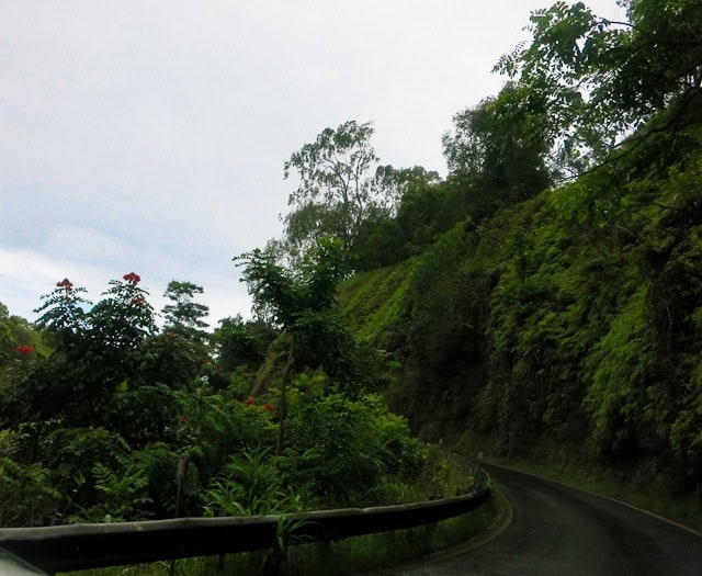 The Hana Highway On the Hana Highway, the whole drive looks like this. Seriously.