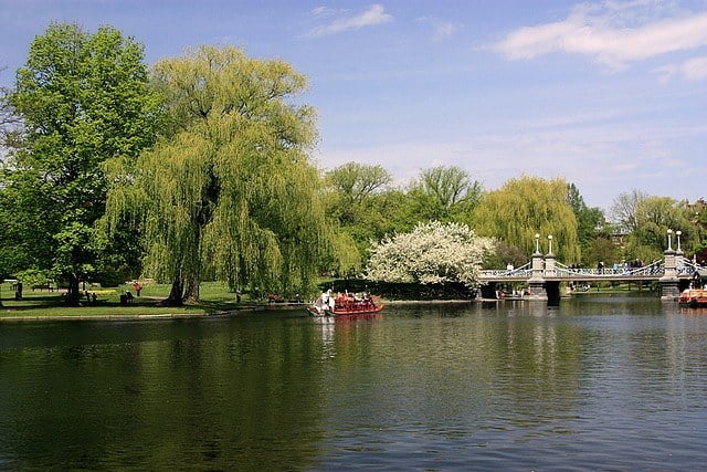 Boston Public Garden