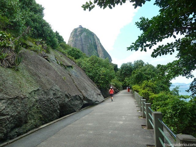 Sugar Loaf seen from Claudio Coutinho Pedestrian Walkpath