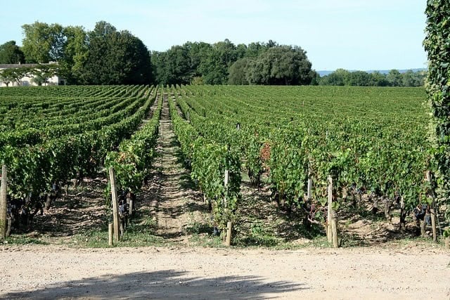 Bordeaux: Chateau Smith Haut Lafitte 