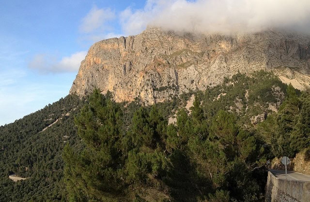 Puig Major