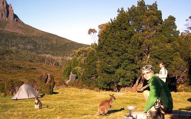 Waterfall Hut campsite, Overland Track