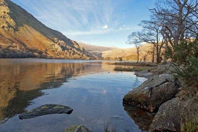 Llyn