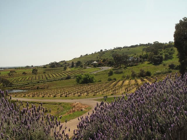 Barossa Valley