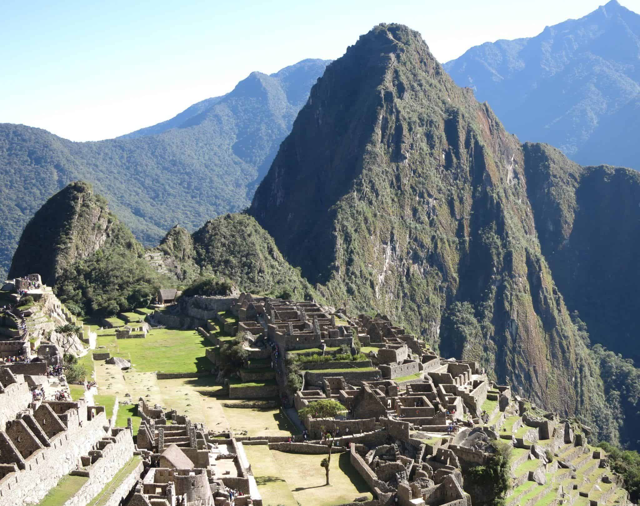 I definitely drank coca leaf tea before climbing Machu Picchu.