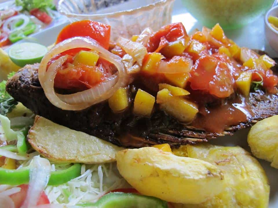 Guapote, an Ometepe specialty, lightly breaded in delicious Spanish spices - topped with a sweet and salty mango tomato sauce. Thanks to Ometepe Secret Adventures for such introducing me to such a delicacy.