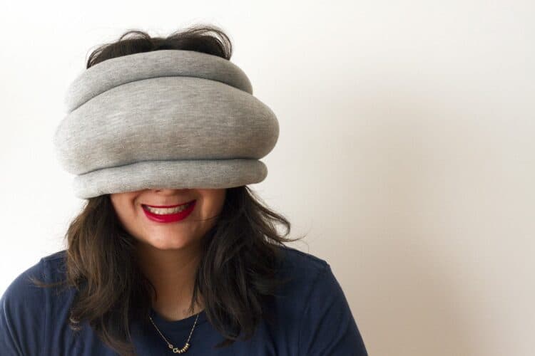 Ostrich Pillow