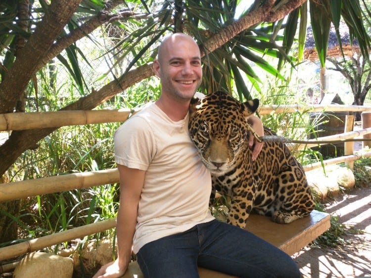 Baby jaguar Zoofari Baby Jaguar