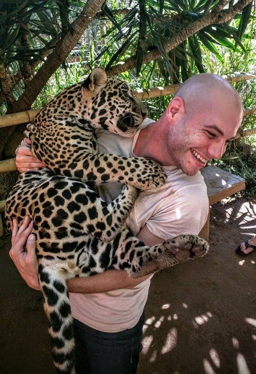 Jaguar cub Jaguar cub