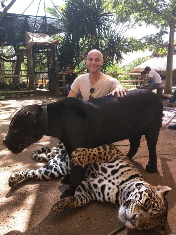 Zoofari Jaguars Zoofari Jaguars