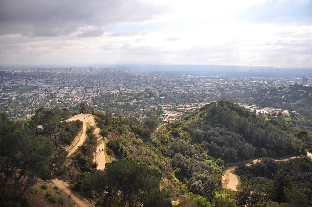 Trails at Griffith Park, a popular place for Los Angeles hikes (photo: Clinton Steeds).