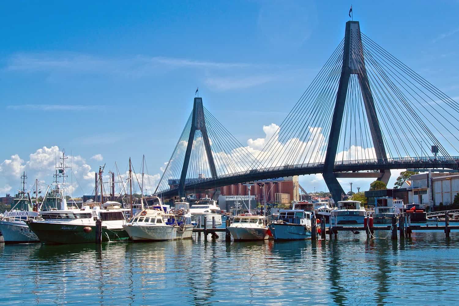 Sydney's less famous Anzac Bridge leads the way from the CBD to Balmain. (Credit: Jason James)
