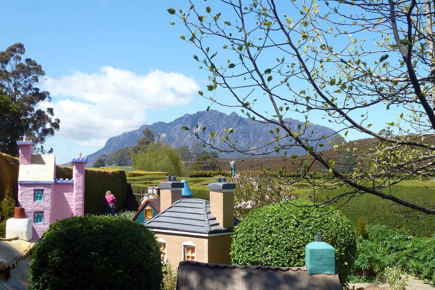 Tasmazia in Tasmania