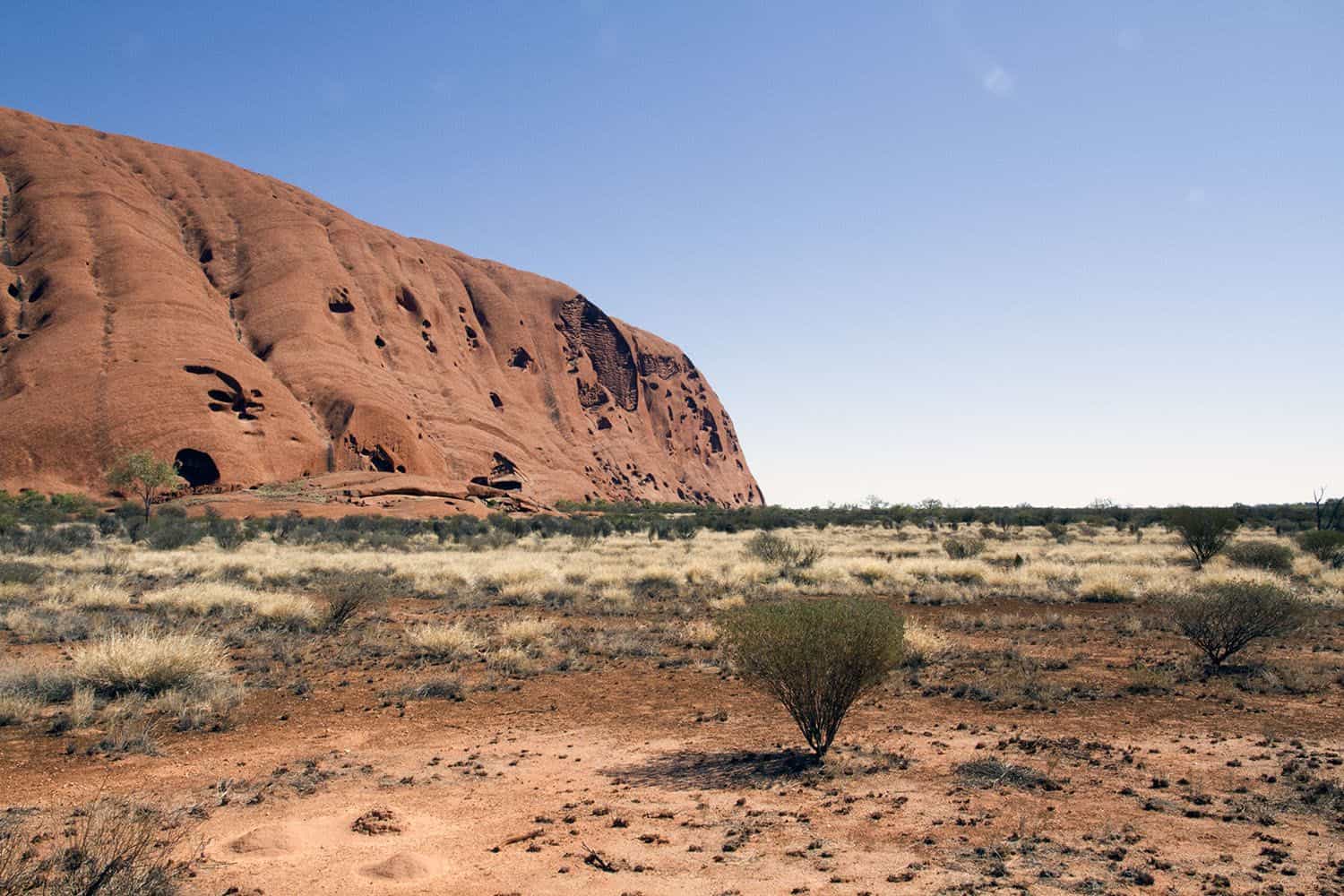 Here's a few reasons why you should visit Australia during winter.