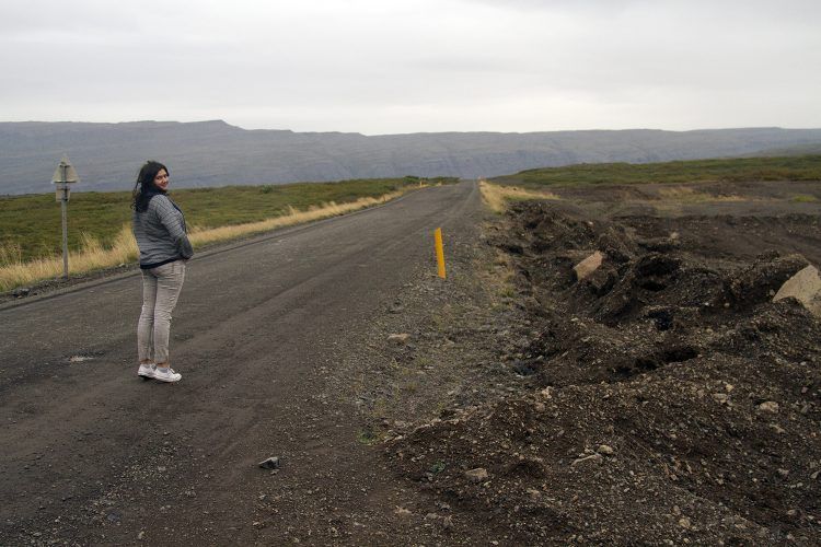 Road tripping in Iceland as an adult, not a broke student.