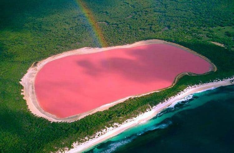 Lake Hillier (Credit: Wikipedia)
