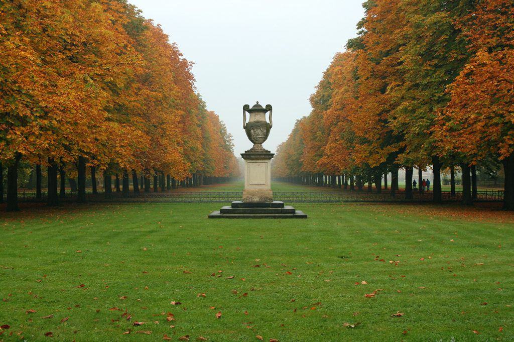 A park in Dresden (Credit: Bert Kaufmann)