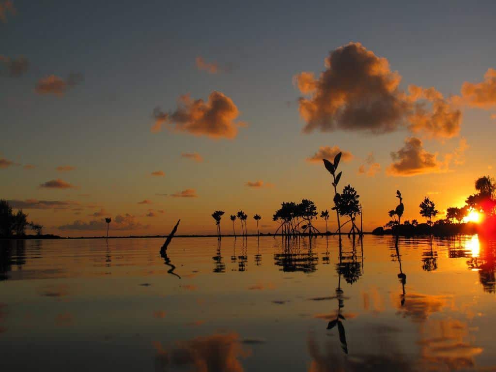 Sunrise on Mauritius