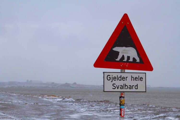 Polar bear sign Polar bear sign