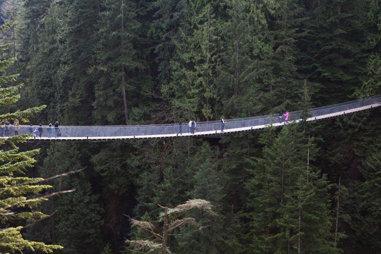 Capilano Suspension Bridge