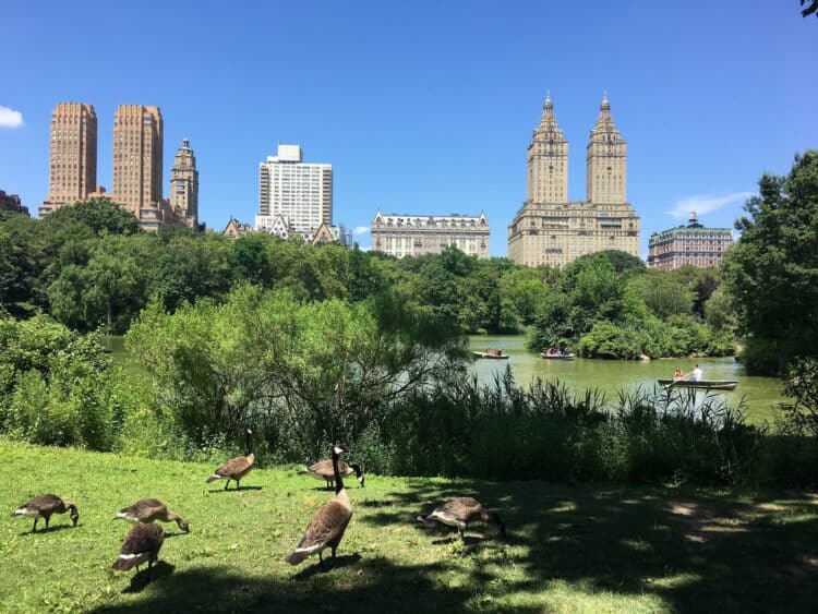 Central Park - New York City