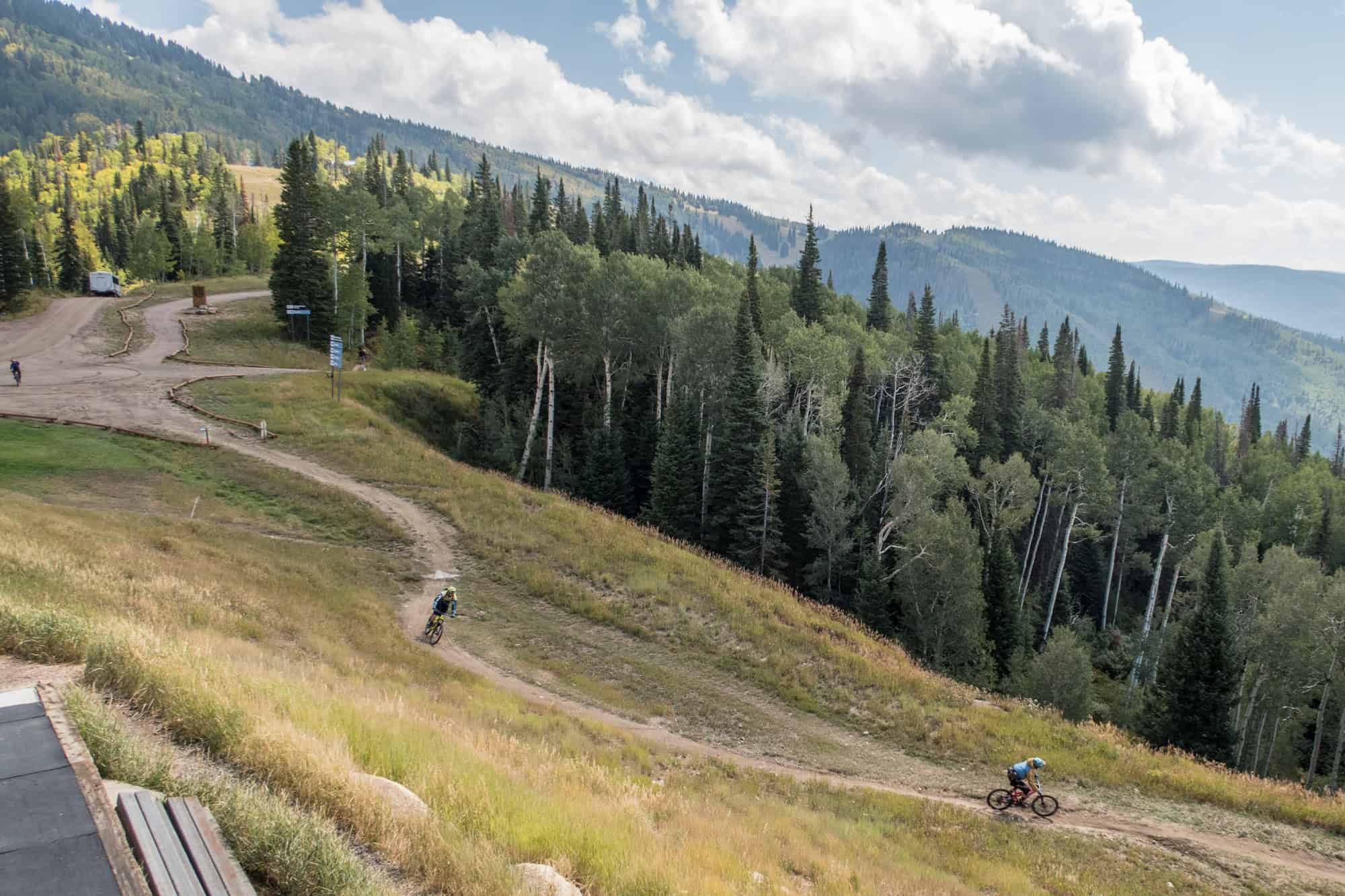 Mountain bikers
