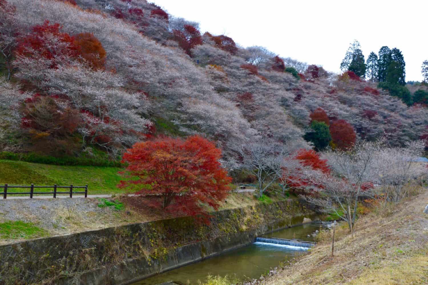 Japan's Chubu Region