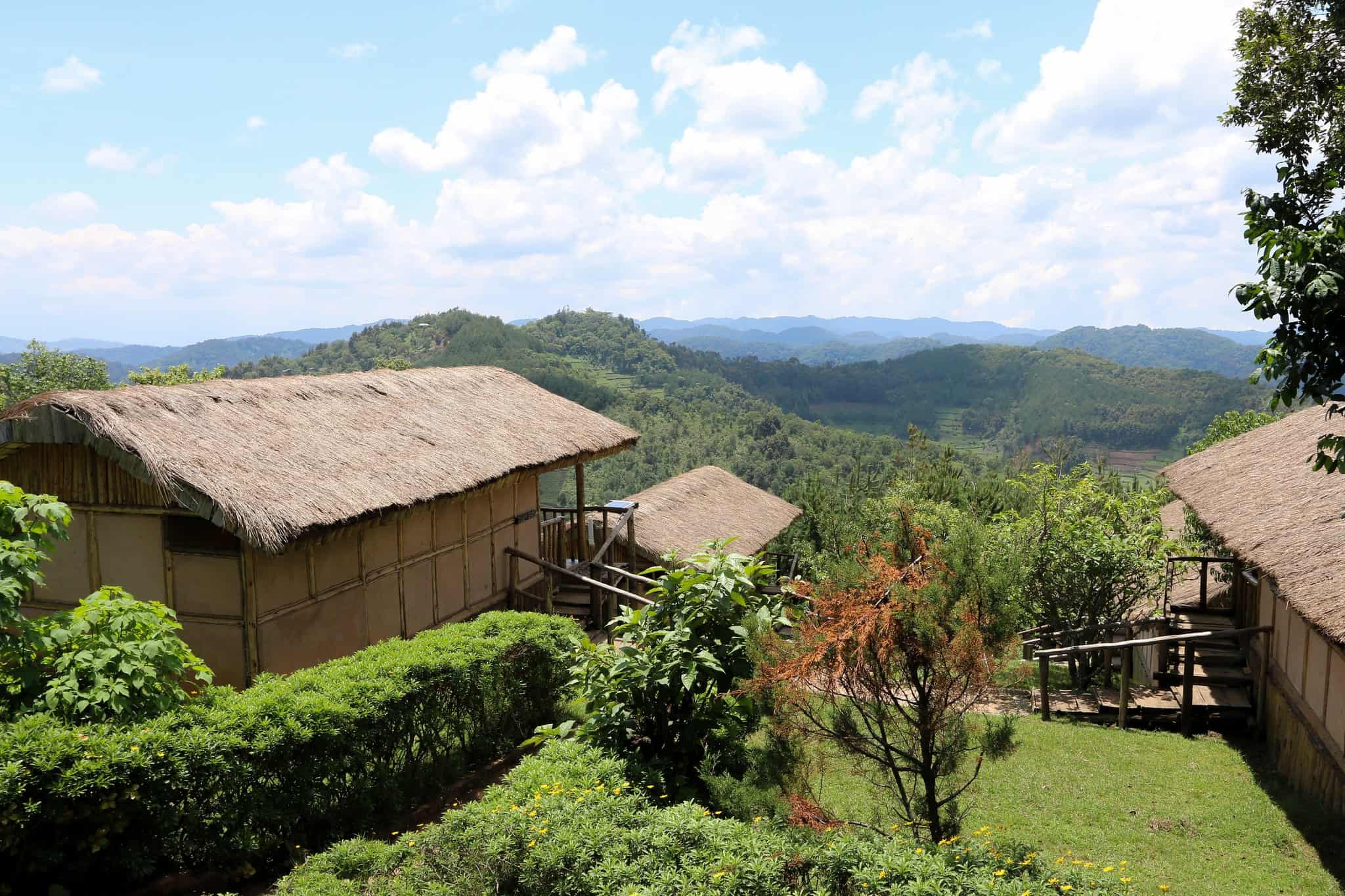 Bwindi National Park