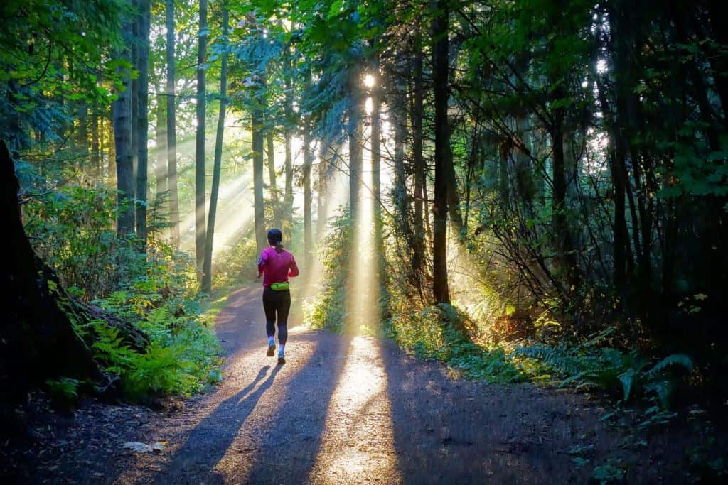 Stanley Park, Vancouver, BC