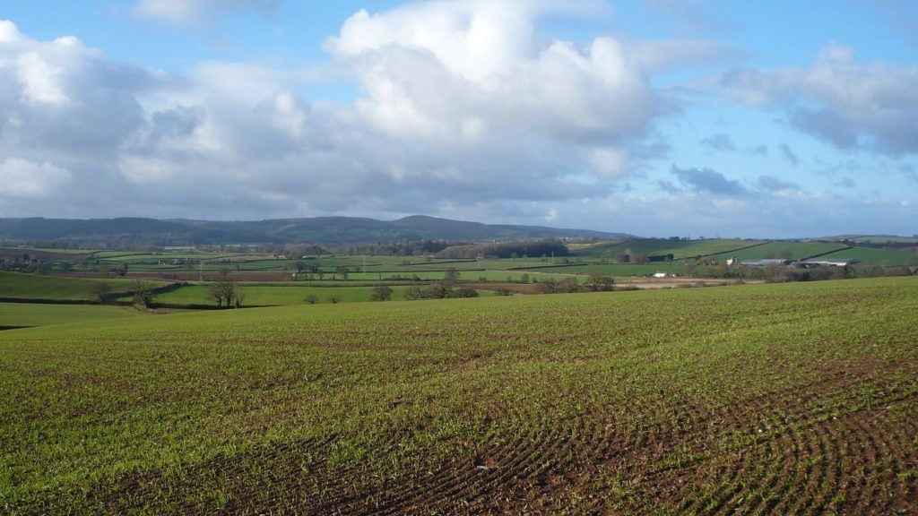 Quantock Hills