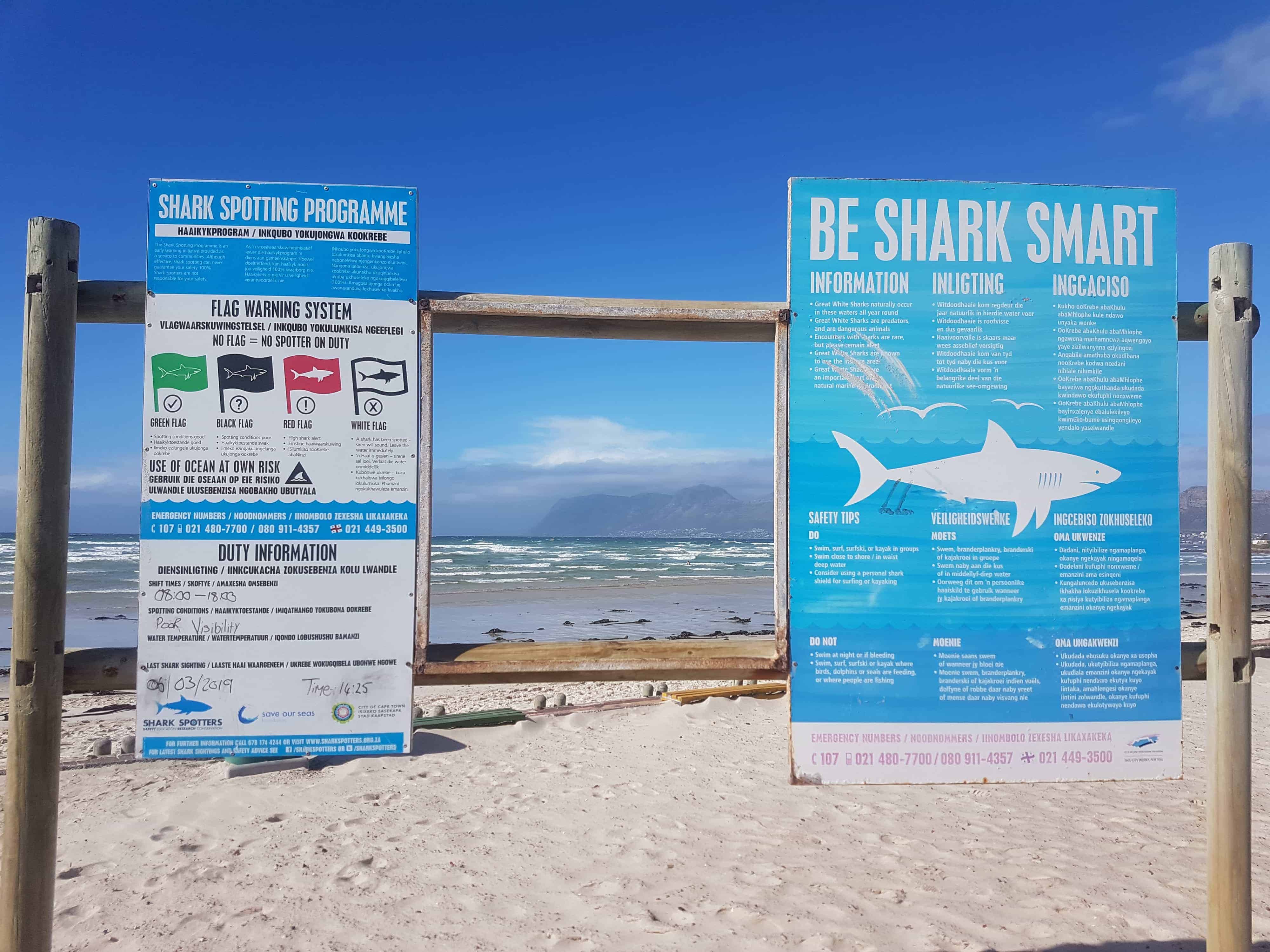 Be Shark Smart in South Africa