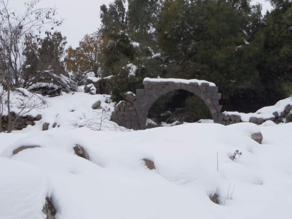 Snow in Bashanit Ridge