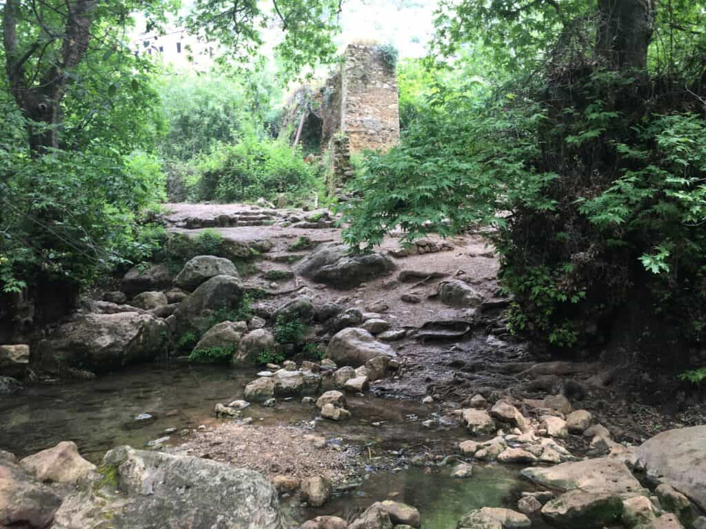 Amud Stream