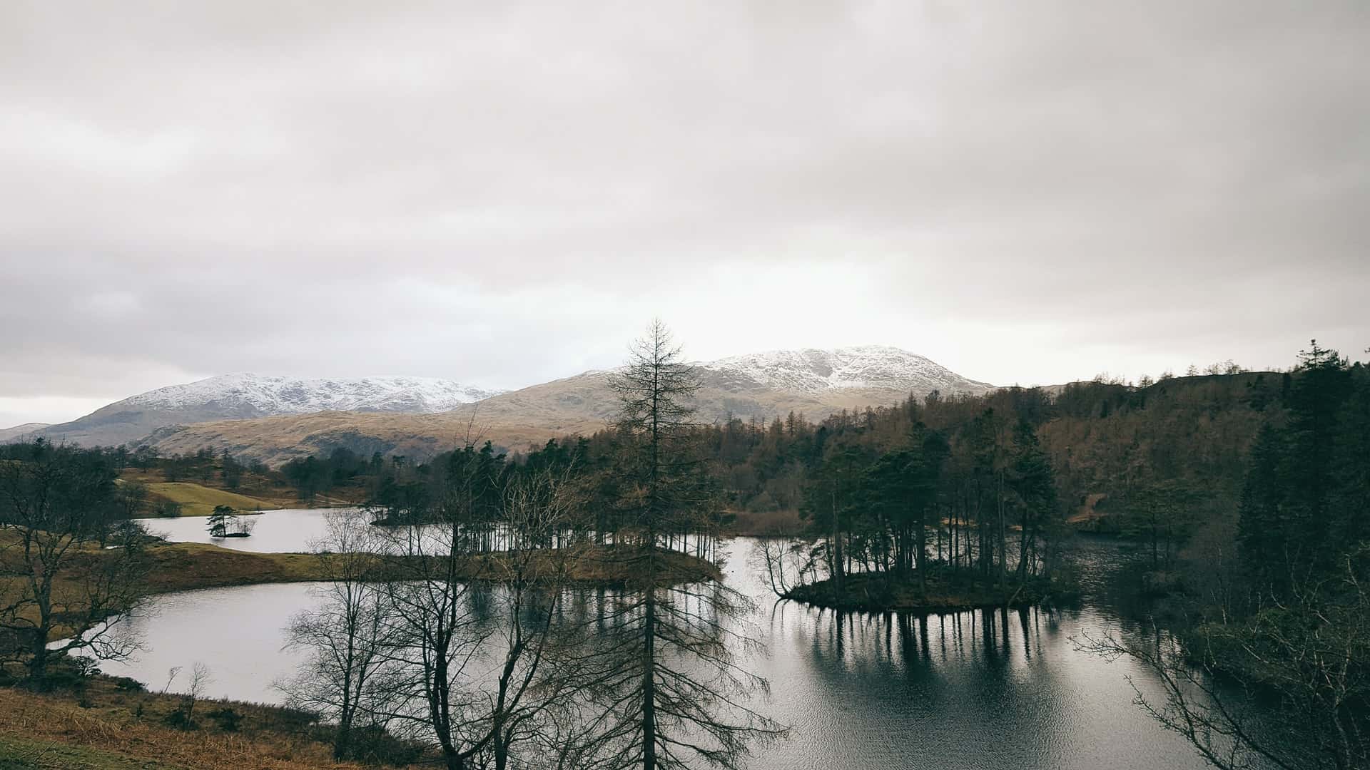 Tarn Hows is an easy-going walk (photo: David Perkins)