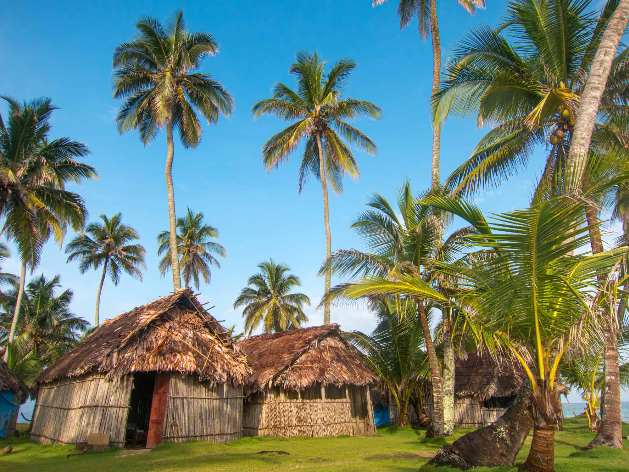 Thatched-roof bungalows