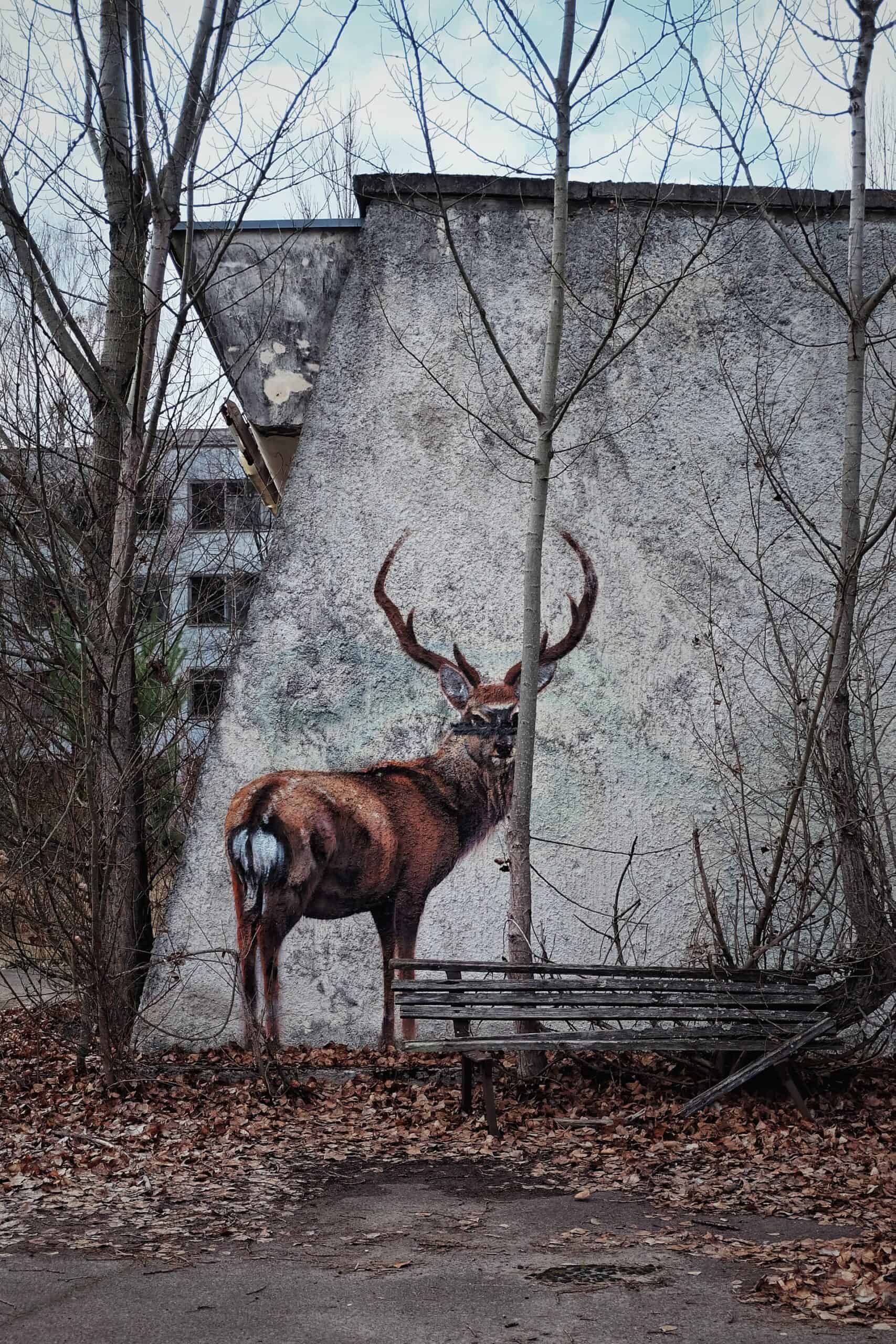 Chernobyl deer mural (photo: Oleksandra Bardash, Unsplash)