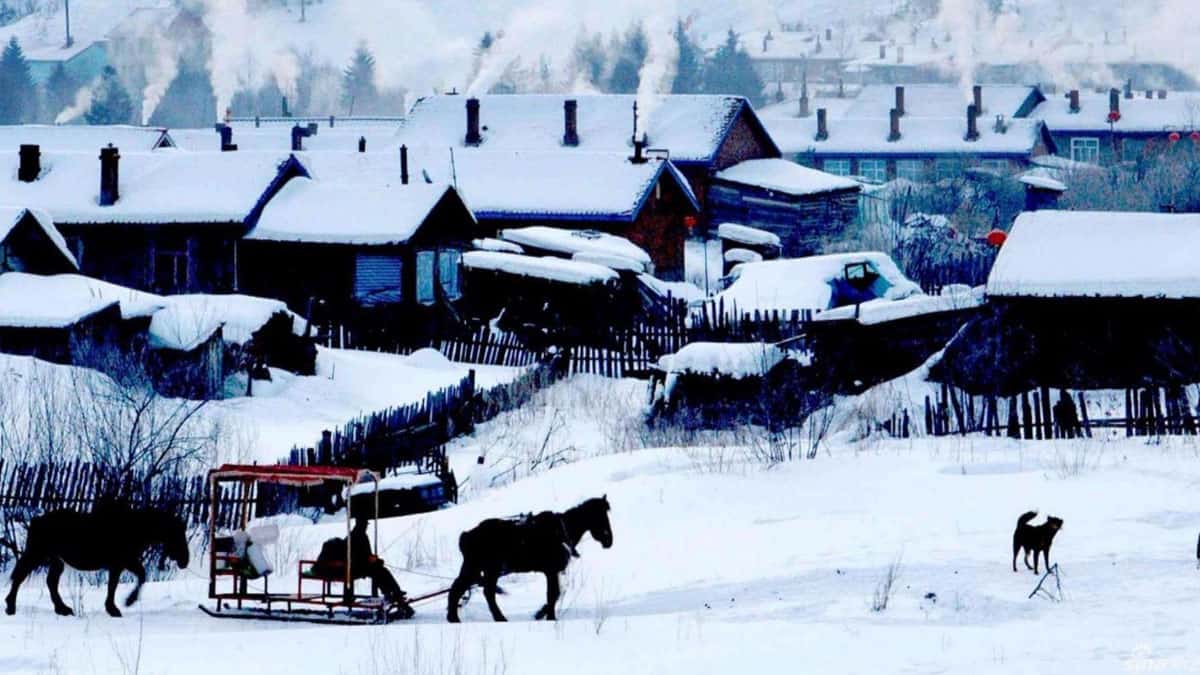 Snowy Heilongjiang, China