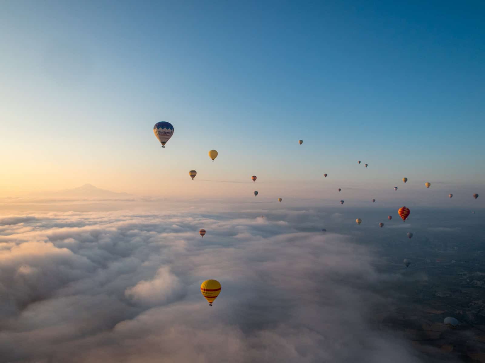 Sunrise balloon ride